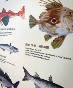 Just Another Fisherman Apparel HOME OF THE SALTY ANGLERS PRINT - FRAMED