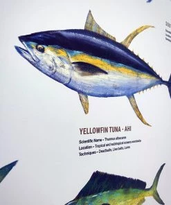 Just Another Fisherman Apparel HOME OF THE SALTY ANGLERS PRINT - FRAMED