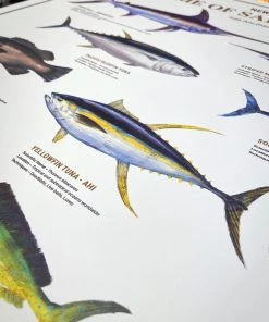 Just Another Fisherman HOME OF THE SALTY ANGLERS PRINT Apparel