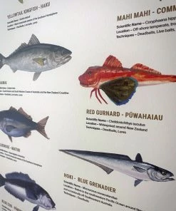 Just Another Fisherman HOME OF THE SALTY ANGLERS PRINT Apparel