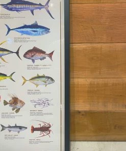 Just Another Fisherman Apparel HOME OF THE SALTY ANGLERS PRINT - FRAMED