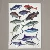 Just Another Fisherman MIXED BAG - GIFT CARD