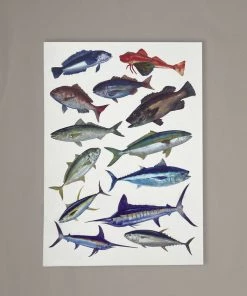 Just Another Fisherman MIXED BAG - GIFT CARD