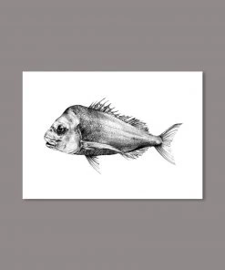 Just Another Fisherman Apparel SNAPPER PRINT