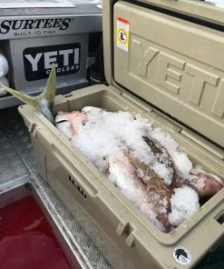 YETI TUNDRA 65 HARD COOLER YETI Coolers